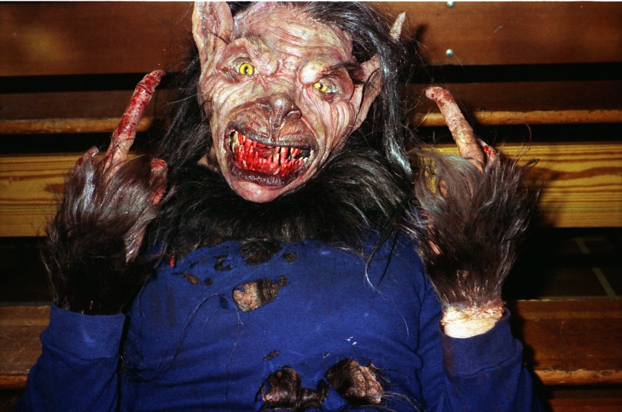 Lone Wolf with attitude - courtesy of John Callas